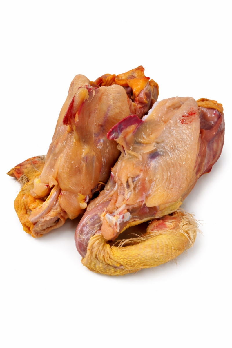 Carcasse