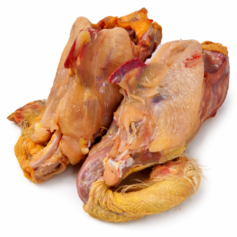 Carcasse